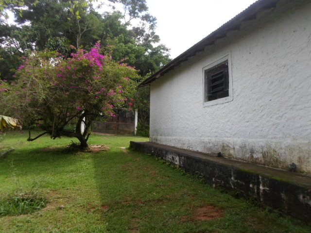 Foto de Chácara 4.500 m² em São João Novo